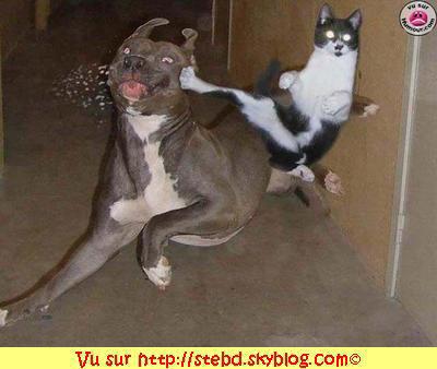tom and max